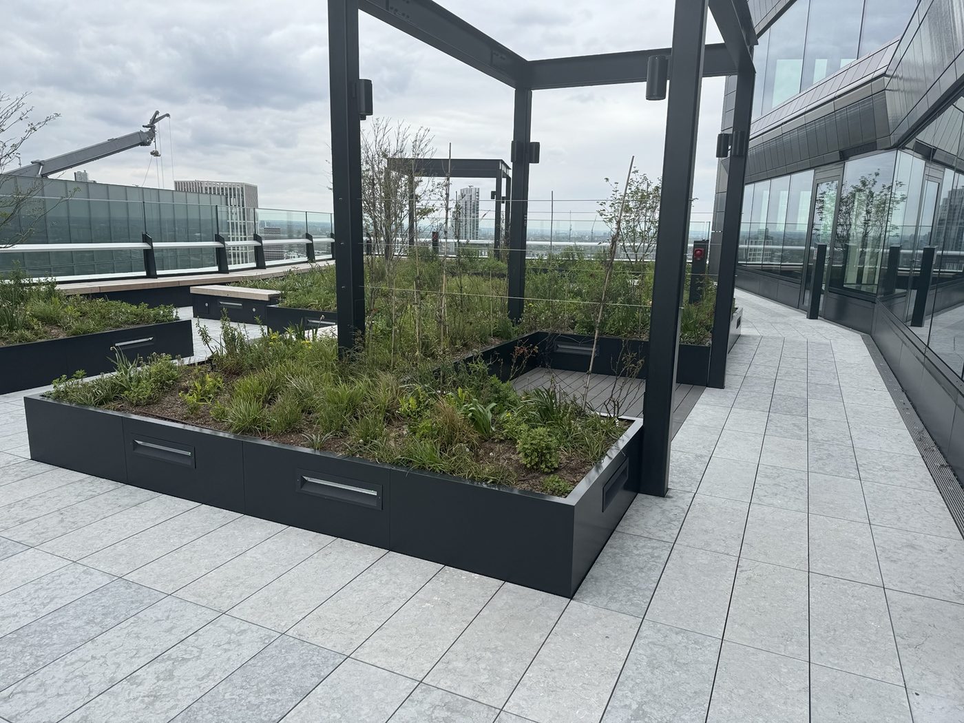 Completed green roof terrace