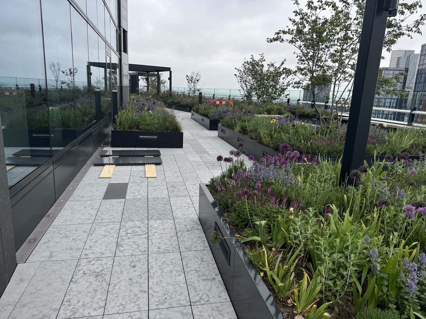 Roof terrace paving and planted areas